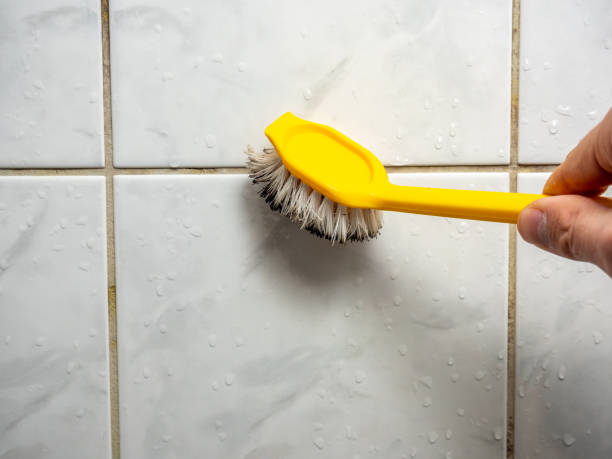 Best Toxic Mold Removal  in Berwick, PA