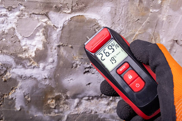 Best Black Mold Removal  in Berwick, PA