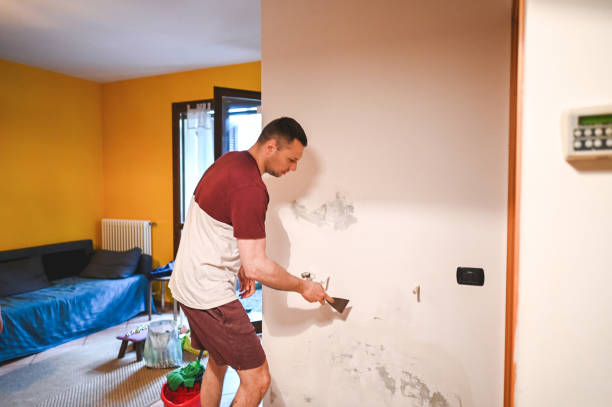 Best Mold Removal and Inspection  in Berwick, PA